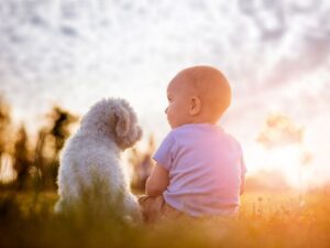 dziecko i pies siedzą na trawie